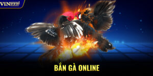 Bắn Gà Online