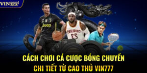 Cách chơi cá cược bóng chuyền chi tiết từ cao thủ VIN777