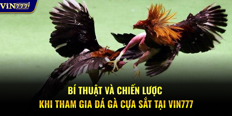 Bí thuật và chiến lược tham gia đá gà cựa dao