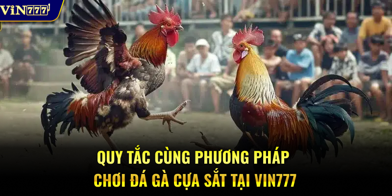 Quy tắc cùng phương pháp chơi đá gà cựa dao tại Vin777