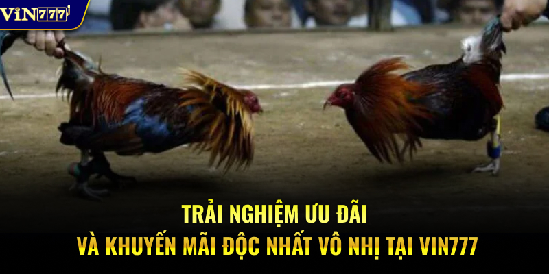 Trải nghiệm ưu đãi và khuyến mãi độc nhất vô nhị tại Vin777