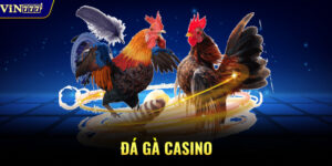 Đá Gà Casino