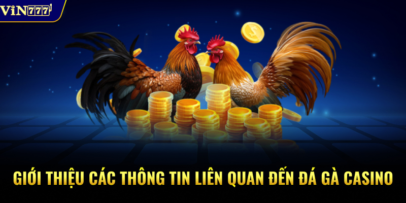 Giới thiệu các thông tin liên quan đến đá gà casino