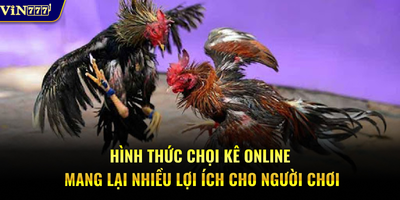 Hình thức chọi kê online mang lại nhiều lợi ích cho người chơi