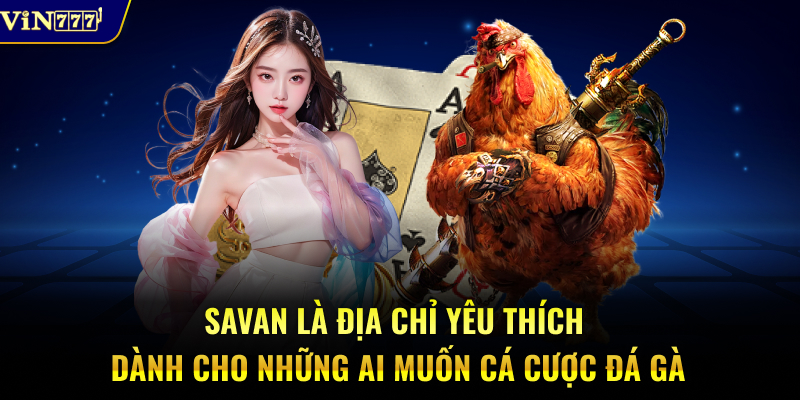 Savan là địa chỉ yêu thích dành cho những ai muốn cá cược đá gà