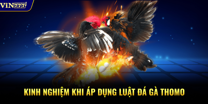 Kinh nghiệm khi áp dụng luật đá gà Thomo